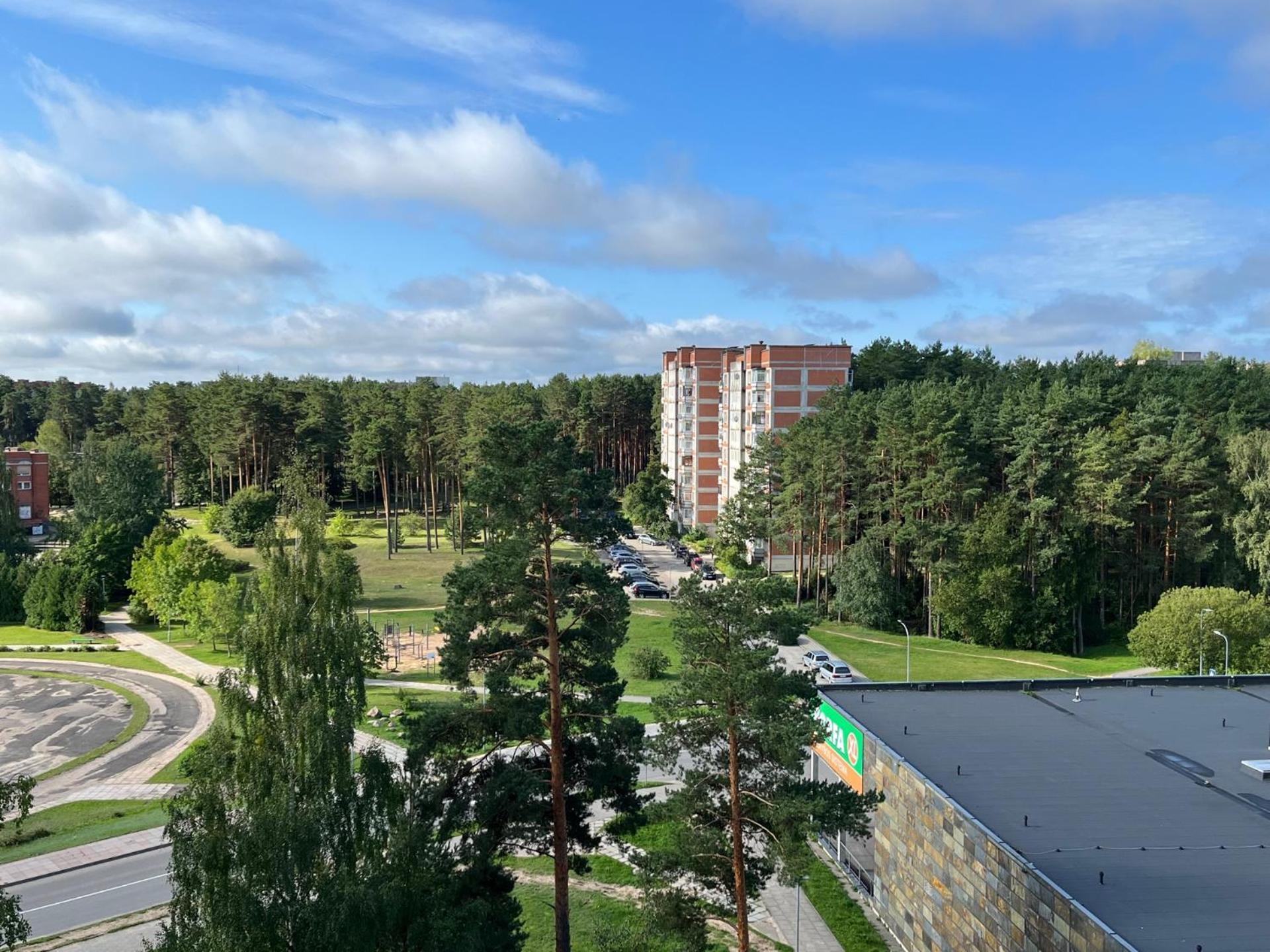 Pine Apartment فيزاغيناس المظهر الخارجي الصورة