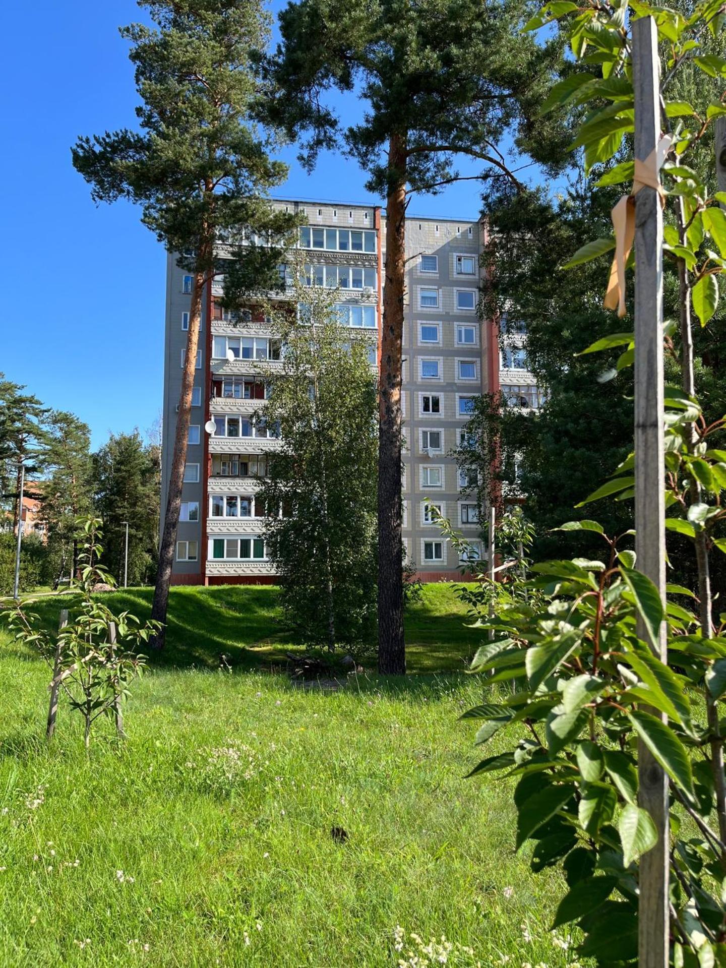 Pine Apartment فيزاغيناس المظهر الخارجي الصورة